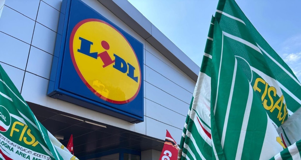 lidlscio